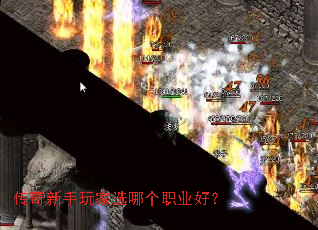 �����������ѡ�ĸ�ְҵ�ã�