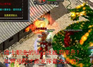 ��ʿְҵ�ĺ��ļ�������Щ����δ�����ܷ������������