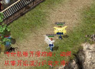 ����˽���������ԣ���δ��㿪ʼ��Ϊ��Ӫ��ʦ��