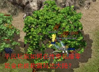 平民玩家如何在传奇私服零氪金也能称霸玛法大陆? 平民玩家如何在传奇私服零氪金也能称霸玛法大陆?