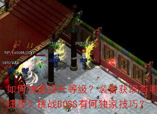 如何快速提升等级?装备获取有哪些捷径?挑战BOSS有何独家技巧? 如何快速提升等级?装备获取有哪些捷径?挑战BOSS有何独家技巧?