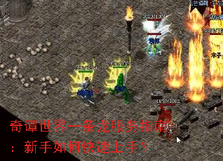奇谭世界一条龙服务指南:新手如何快速上手? 奇谭世界一条龙服务指南:新手如何快速上手?