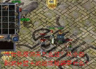 传奇私服30关怎么过?从小白到武林盟主的速成秘籍是什么? 传奇私服30关怎么过?从小白到武林盟主的速成秘籍是什么?
