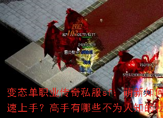 变态单职业传奇私服sf:萌新如何快速上手?高手有哪些不为人知的秘籍? 变态单职业传奇私服sf:萌新如何快速上手?高手有哪些不为人知的秘籍?