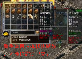 新手如何选择修炼路线,才能称霸沙巴克? 新手如何选择修炼路线,才能称霸沙巴克?