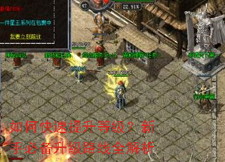 如何快速提升等级?新手必备升级路线全解析 如何快速提升等级?新手必备升级路线全解析