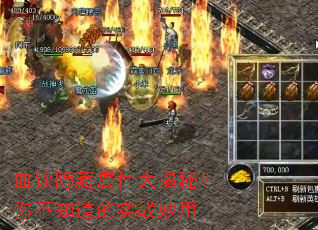 血饮隐藏属性大揭秘?你不知道的实战妙用 血饮隐藏属性大揭秘?你不知道的实战妙用