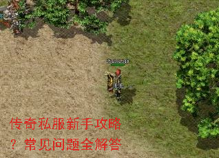 传奇私服新手攻略?常见问题全解答 传奇私服新手攻略?常见问题全解答