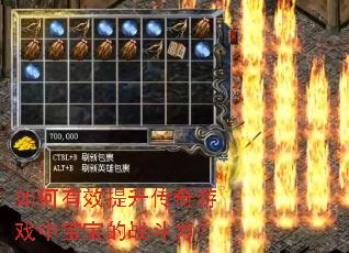 如何有效提升传奇游戏中宝宝的战斗力? 如何有效提升传奇游戏中宝宝的战斗力?