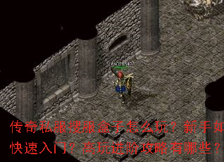 传奇私服搜服盒子怎么玩?新手如何快速入门?高玩进阶攻略有哪些? 传奇私服搜服盒子怎么玩?新手如何快速入门?高玩进阶攻略有哪些?