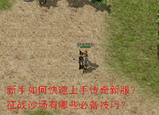 新手如何快速上手传奇新服?征战沙场有哪些必备技巧? 新手如何快速上手传奇新服?征战沙场有哪些必备技巧?