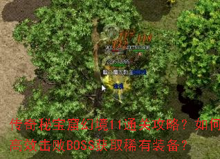 传奇秘宝窟幻境11通关攻略?如何高效击败BOSS获取稀有装备? 传奇秘宝窟幻境11通关攻略?如何高效击败BOSS获取稀有装备?