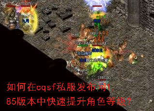 如何在cqsf私服发布网1.85版本中快速提升角色等级? 如何在cqsf私服发布网1.85版本中快速提升角色等级?
