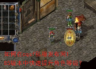 如何在cqsf私服发布网1.85版本中快速提升角色等级? 如何在cqsf私服发布网1.85版本中快速提升角色等级?