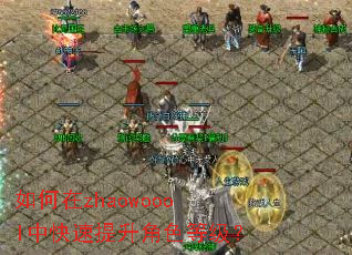 如何在zhaowoool中快速提升角色等级? 如何在zhaowoool中快速提升角色等级?