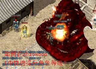 如何在zhaowoool中快速提升角色等级? 如何在zhaowoool中快速提升角色等级?