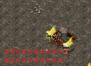 如何在新开迷失私服中快速提升角色等级与装备? 如何在新开迷失私服中快速提升角色等级与装备?