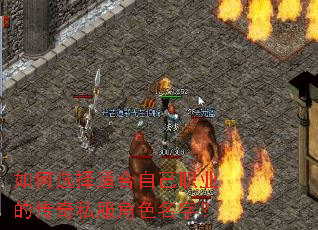 ���ѡ���ʺ��Լ�ְҵ�Ĵ���˽����ɫ���֣�