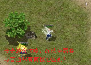 传奇游戏攻略:战队争霸赛与普通PK有何核心区别? 传奇游戏攻略:战队争霸赛与普通PK有何核心区别?