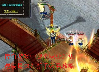 传奇游戏中哪个职业升级速度最快?新手必看攻略 传奇游戏中哪个职业升级速度最快?新手必看攻略