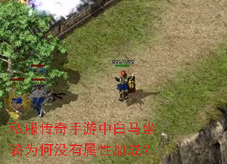 私服传奇手游中白马坐骑为何没有属性加成? 私服传奇手游中白马坐骑为何没有属性加成?