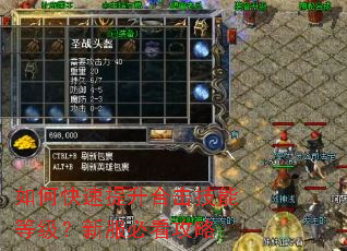 如何快速提升合击技能等级?新服必看攻略 如何快速提升合击技能等级?新服必看攻略