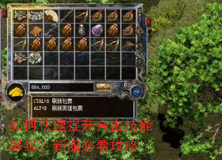 如何快速提升合击技能等级?新服必看攻略 如何快速提升合击技能等级?新服必看攻略
