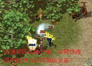 网通新区私服开服,如何快速提升战力与获取顶级装备? 网通新区私服开服,如何快速提升战力与获取顶级装备?