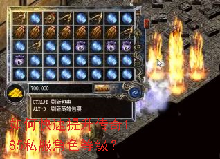 如何快速提升传奇185私服角色等级? 如何快速提升传奇185私服角色等级?
