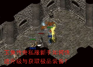 玉兔传奇私服新手如何快速升级与获取极品装备? 玉兔传奇私服新手如何快速升级与获取极品装备?