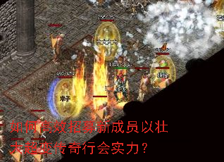 如何高效招募新成员以壮大超变传奇行会实力? 如何高效招募新成员以壮大超变传奇行会实力?