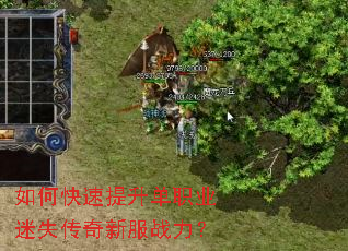 如何快速提升单职业迷失传奇新服战力? 如何快速提升单职业迷失传奇新服战力?
