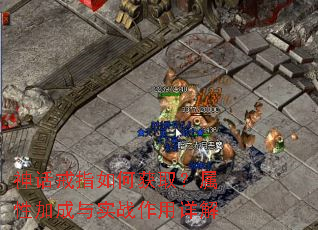 神话戒指如何获取?属性加成与实战作用详解 神话戒指如何获取?属性加成与实战作用详解