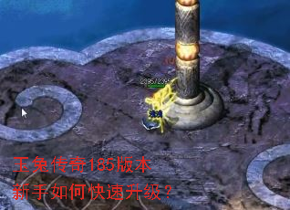 玉兔传奇185版本新手如何快速升级? 玉兔传奇185版本新手如何快速升级?