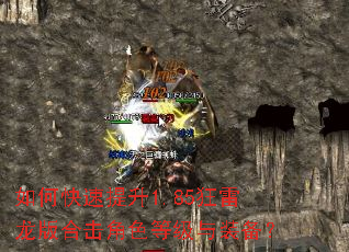 如何快速提升1.85狂雷龙版合击角色等级与装备? 如何快速提升1.85狂雷龙版合击角色等级与装备?