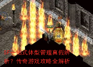 SFһվʽ���͹�����ٱ�����������Ϸ����ȫ����