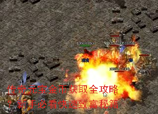传奇元宝金币获取全攻略?新手必看快速致富秘籍 传奇元宝金币获取全攻略?新手必看快速致富秘籍