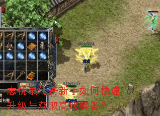忘忧录传奇新手如何快速升级与获取高级装备? 忘忧录传奇新手如何快速升级与获取高级装备?