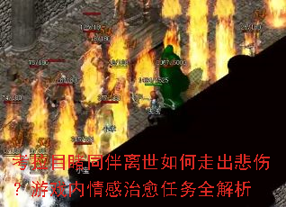 考拉目睹同伴离世如何走出悲伤?游戏内情感治愈任务全解析 考拉目睹同伴离世如何走出悲伤?游戏内情感治愈任务全解析