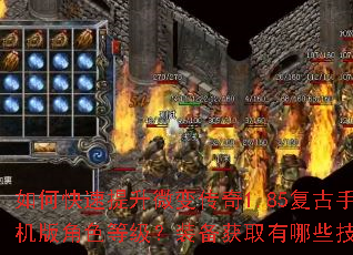 如何快速提升微变传奇1.85复古手机版角色等级?装备获取有哪些技巧? 如何快速提升微变传奇1.85复古手机版角色等级?装备获取有哪些技巧?