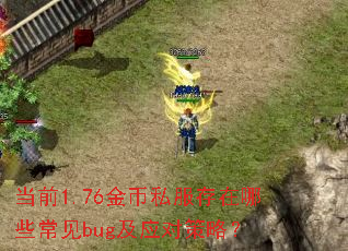 当前1.76金币私服存在哪些常见bug及应对策略? 当前1.76金币私服存在哪些常见bug及应对策略?