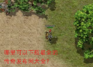 哪里可以下载最全的传奇发布网大全? 哪里可以下载最全的传奇发布网大全?