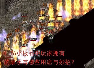 1.76С��Ʒ�����ӵ�е�Ȫˮ����Щ��;�����У�