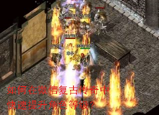 �����΢�Ÿ��Ŵ����п���������ɫ�ȼ���