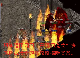 ��֪����԰�ı������ĵ��ˣ�������ս������Ϸ���Խ����𰸡�