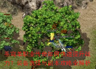 ��񷵥ְҵ������ο�������ս����װ��ѡ���븱������ȫ����
