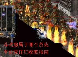 ����������ĸ���Ϸƽ̨����ϸ����ָ��