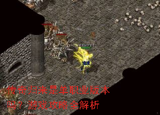 传奇归来是单职业版本吗?游戏攻略全解析 传奇归来是单职业版本吗?游戏攻略全解析