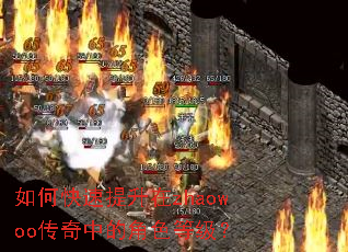 如何快速提升在zhaowoo传奇中的角色等级? 如何快速提升在zhaowoo传奇中的角色等级?