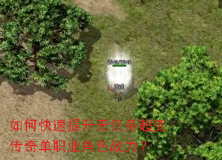 如何快速提升无任务超变传奇单职业角色战力? 如何快速提升无任务超变传奇单职业角色战力?